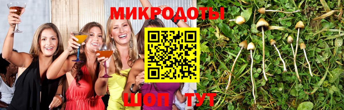 купить закладку  Псилоцибиновые грибы Cubensis  Вход с VPN  Старая Купавна 